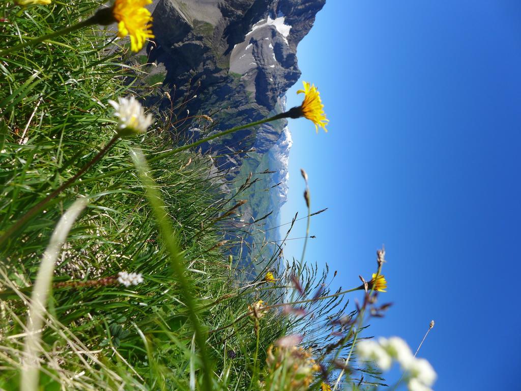 Hami Vila Adelboden Quarto foto