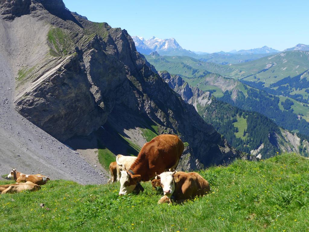 Hami Vila Adelboden Quarto foto